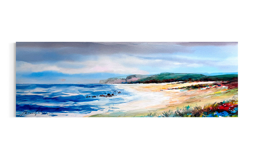 Xavier Galiza · Playa con dunas
