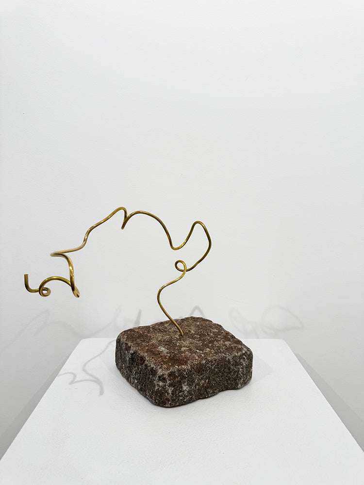 Joan Farré - Avanzar II