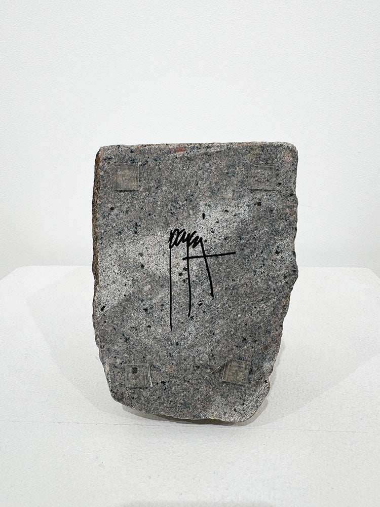 Joan Farré - Avanzar I