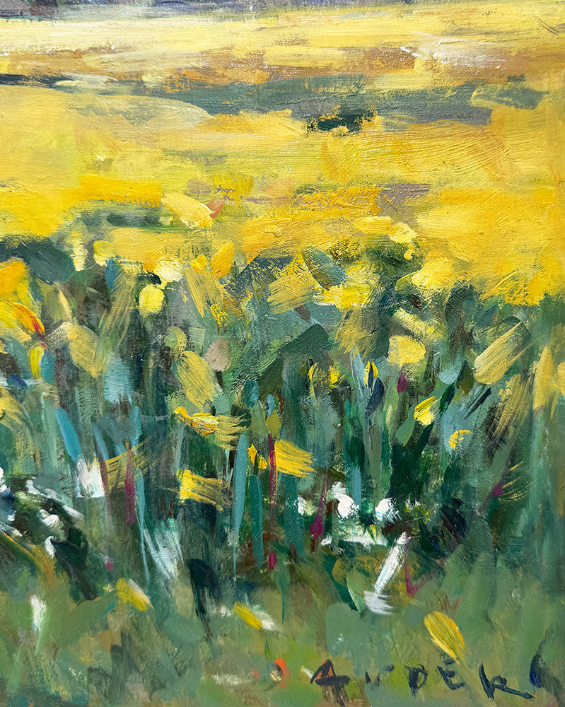 Anna Dauder - Campo de colza