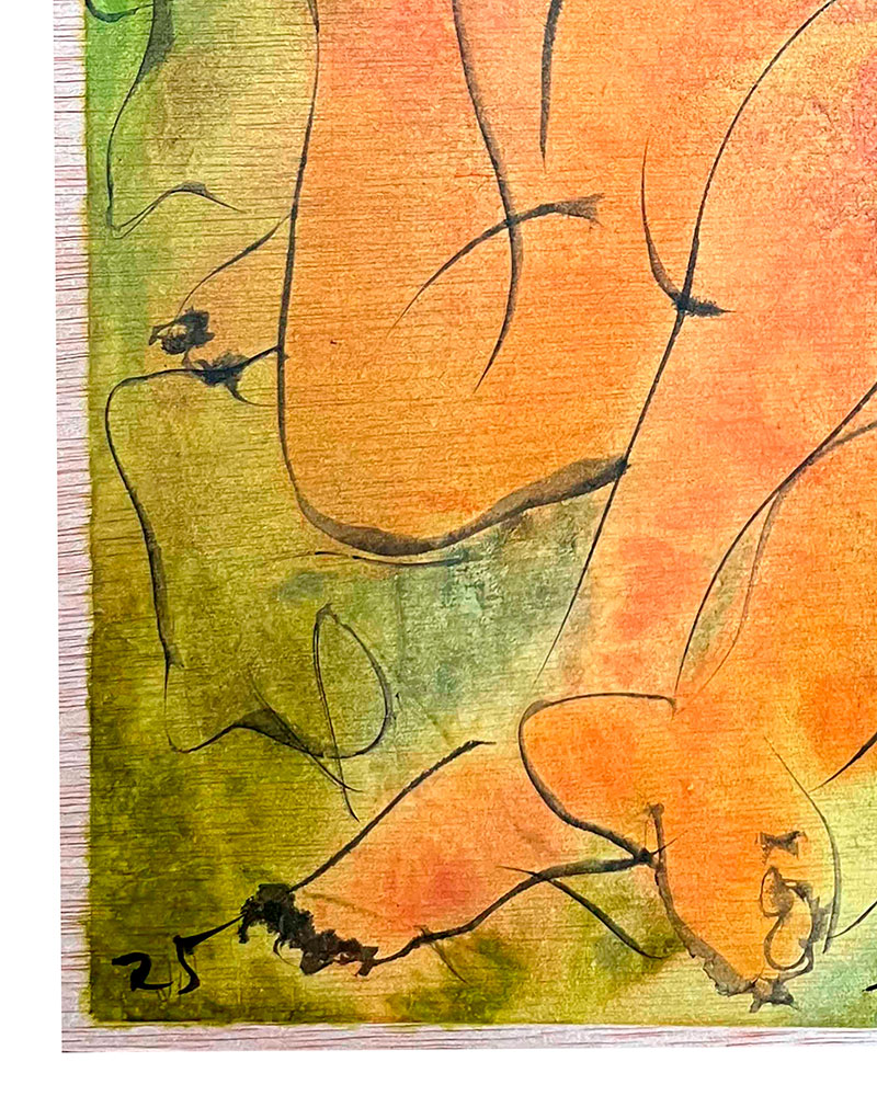 Perico Pastor - Coixins flonjos