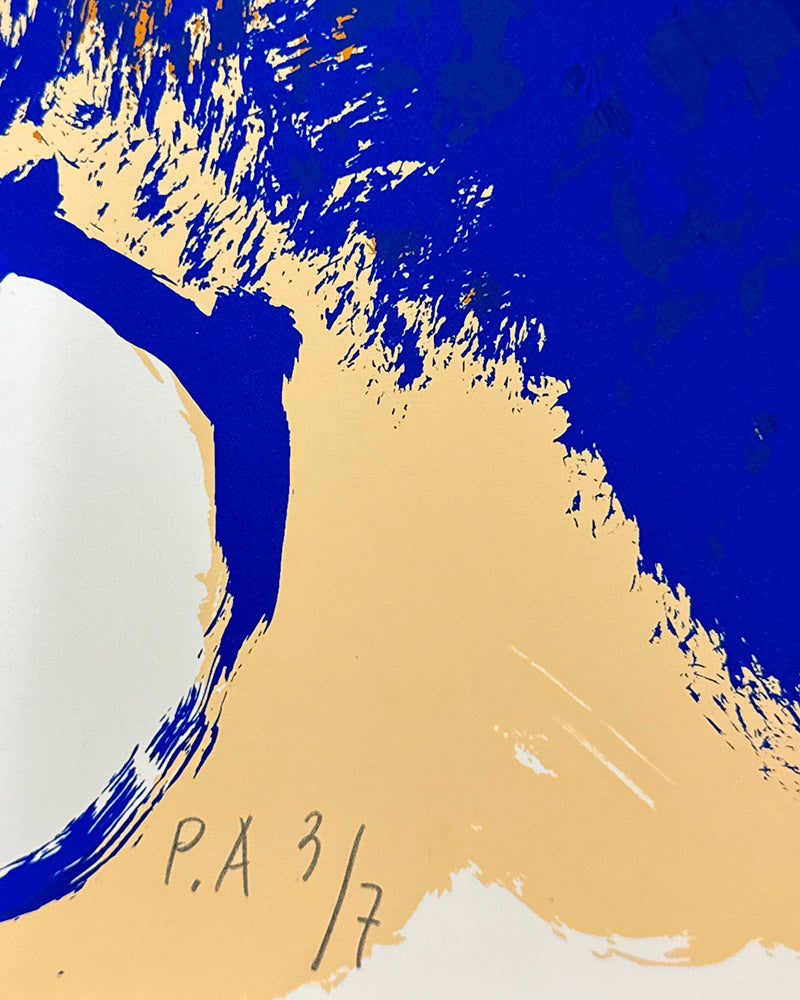 Josep Guinovart - Imagen y pájaro