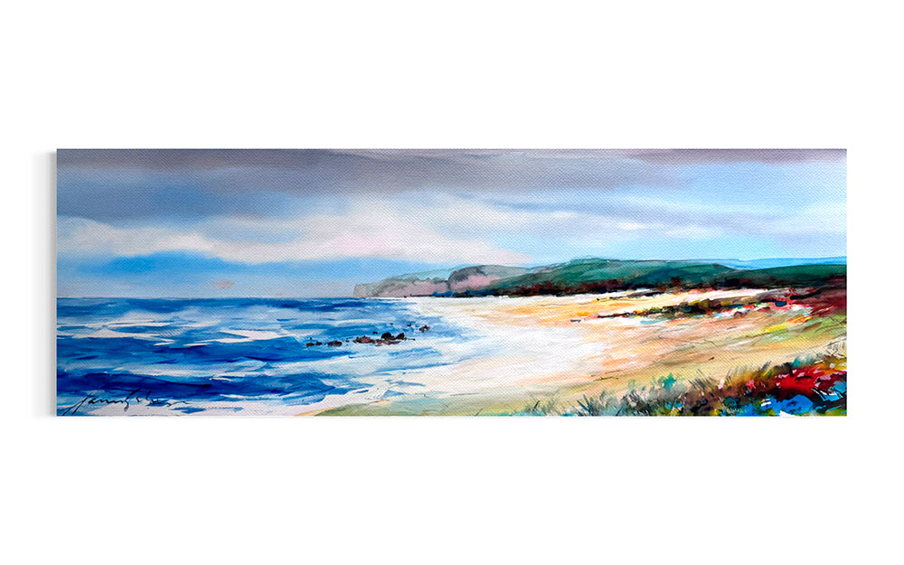 Xavier Galiza · Playa con dunas