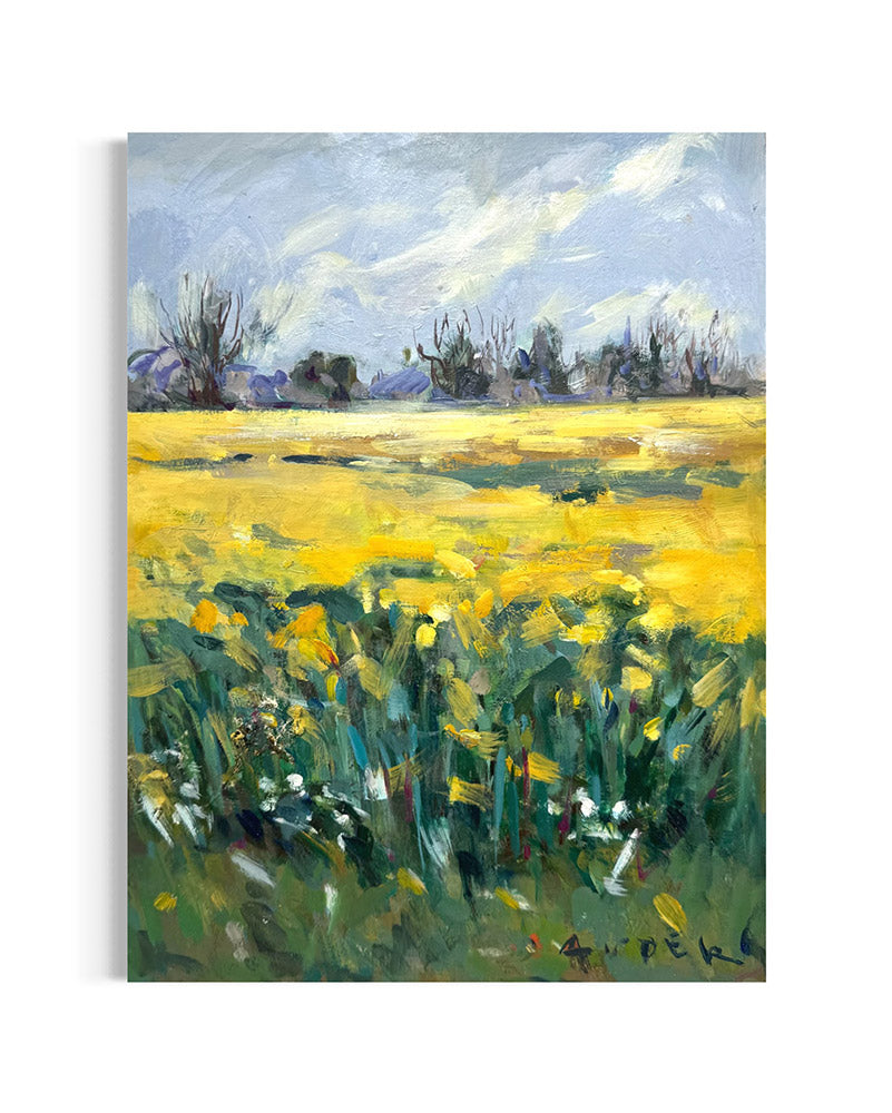 Anna Dauder - Campo de colza