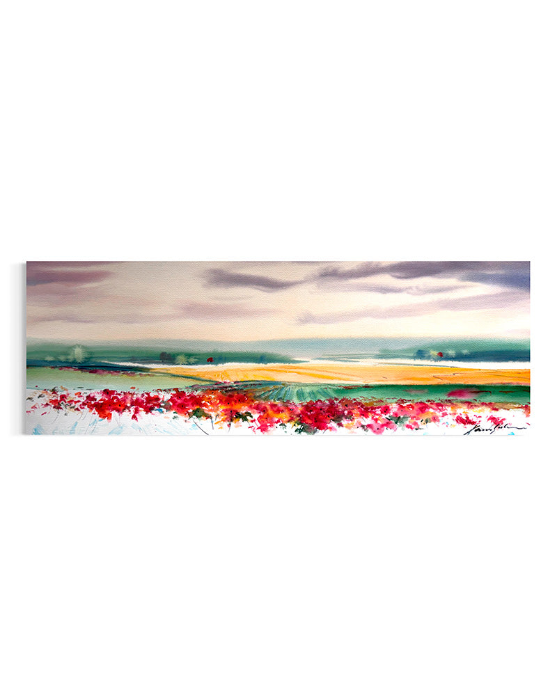Xavier Galiza · Paisaje de amapolas